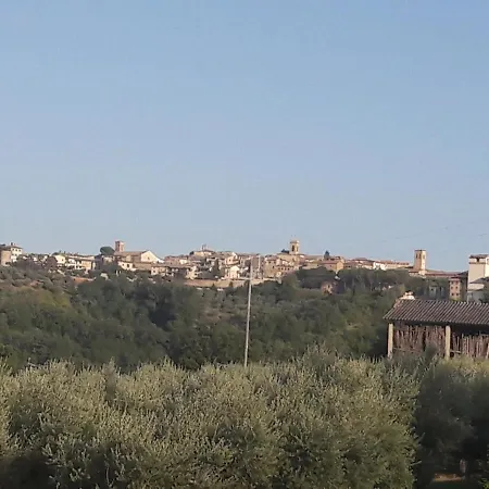 Panico Febo House Montefalco